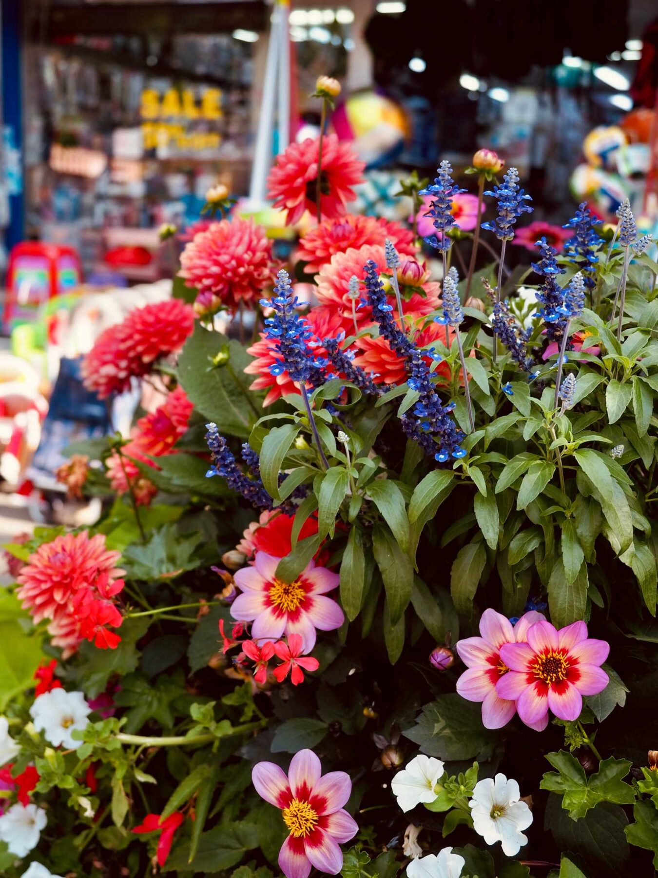 flowers
