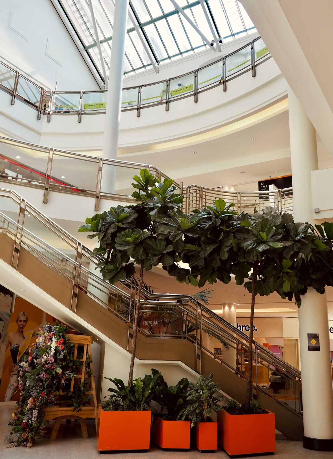 atria