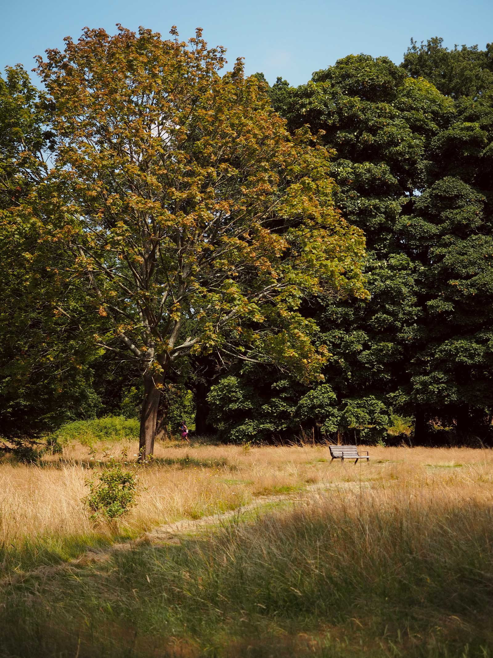Cassiobury Park