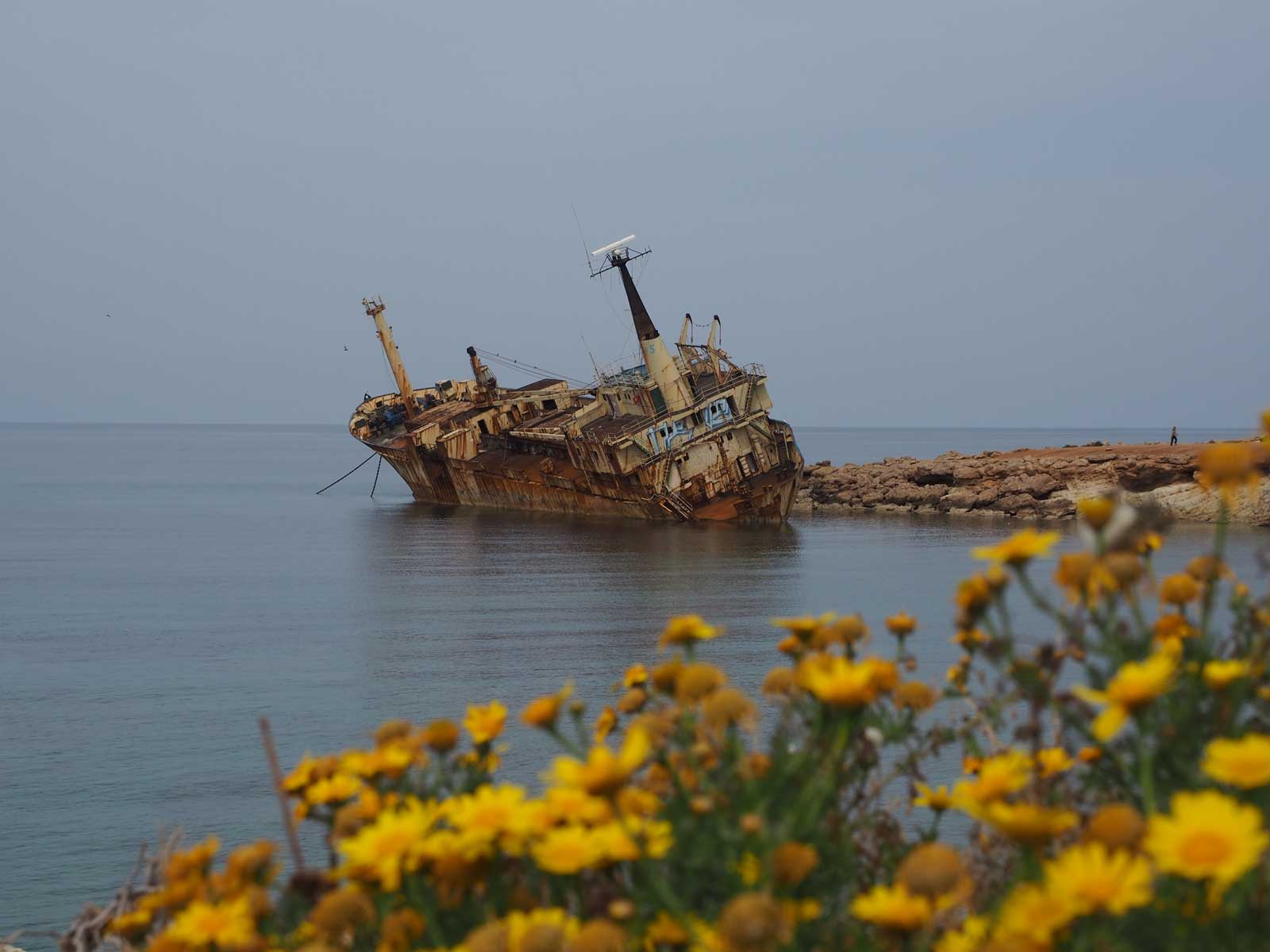 shipwreck-Edro-III